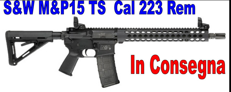 SMITH&WESSON SEMIAUTO M&P15-TS 223REM 16 
